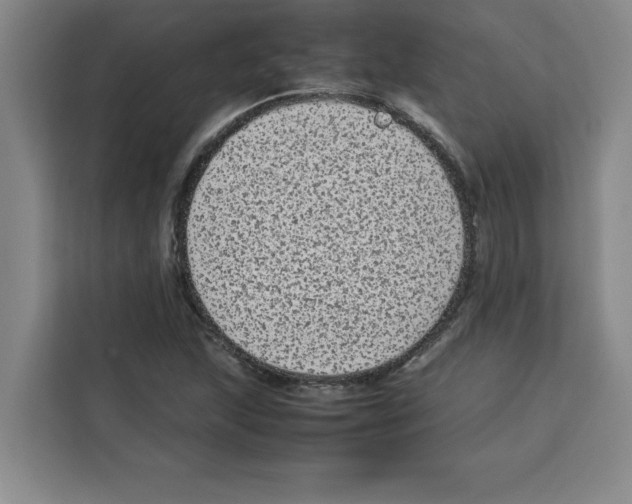X0000113261215200910221032
