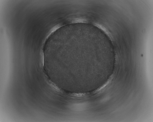 X0000113261219200910221032