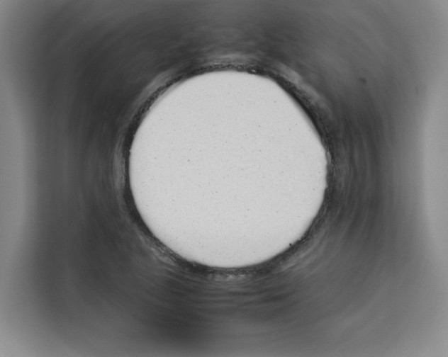 X0000113261221200910221032