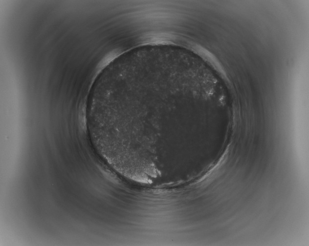 X0000113261226200910221032