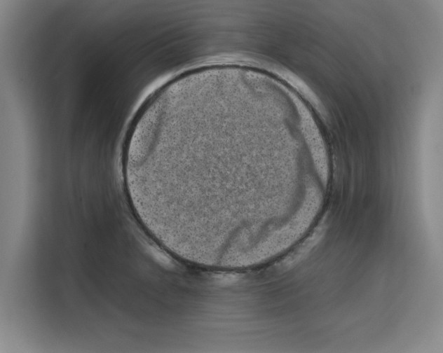 X0000113261230200910221032