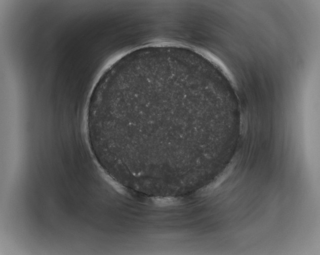 X0000113261231200910221032