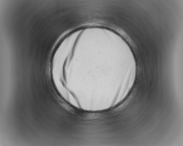 X0000113261232200910221032