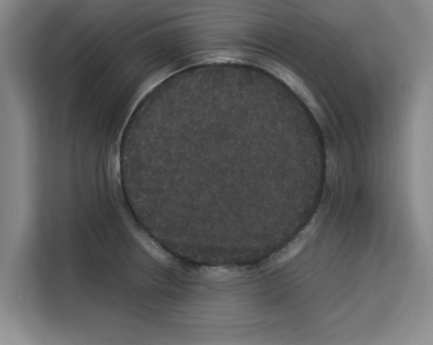 X0000113261234200910221032