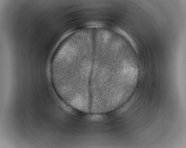 X0000113261235200910221033