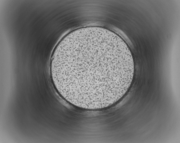X0000113261236200910221033