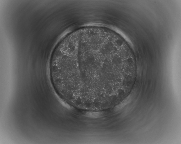 X0000113261237200910221033