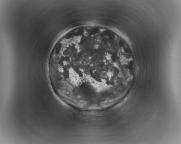 X0000113261239200910221033