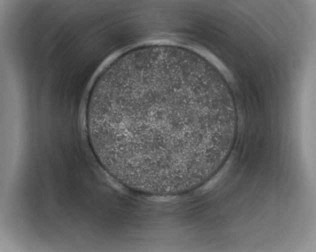 X0000113261240200910221033