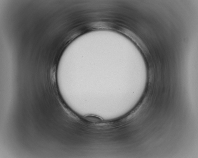 X0000113261241200910221033