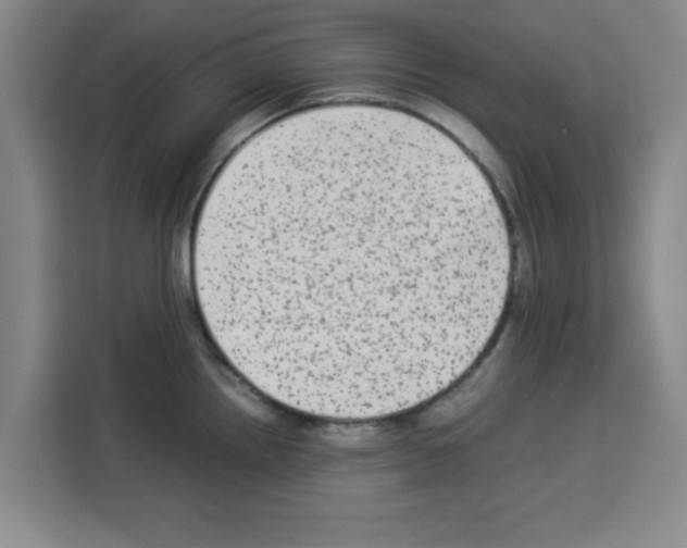 X0000113261242200910221033