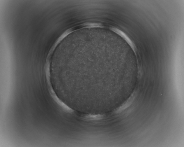 X0000113261243200910221033