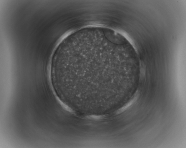 X0000113261245200910221033