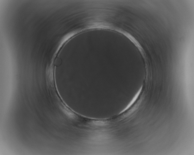 X0000113261246200910221033