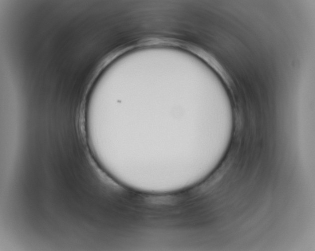 X0000113261247200910221033