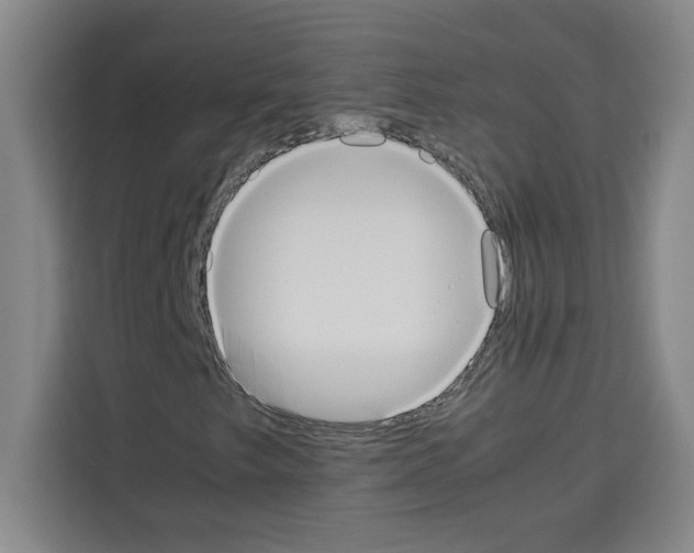 X0000113261249200910221032