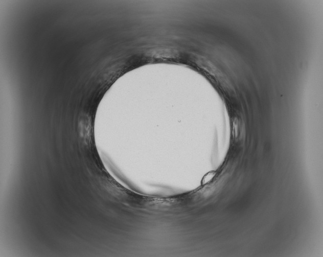 X0000113261251200910221032