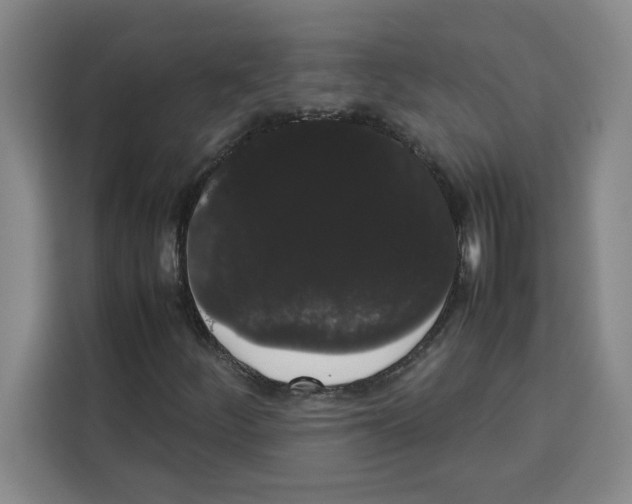 X0000113261252200910221032