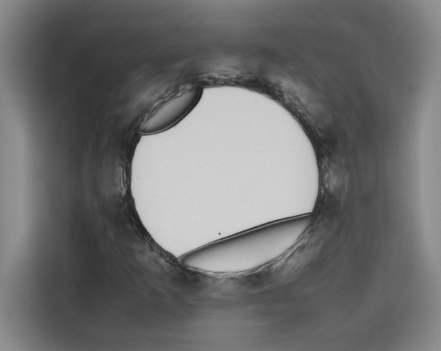 X0000113261253200910221032