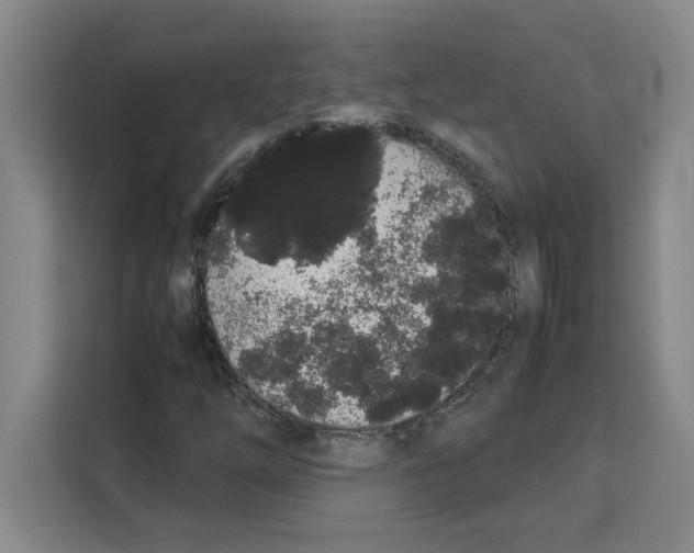 X0000113261254200910221032