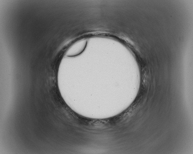 X0000113261255200910221032