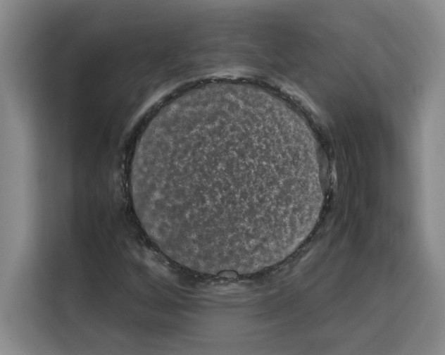 X0000113261256200910221032