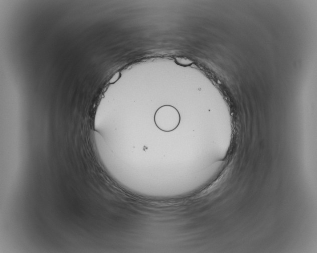 X0000113261257200910221032