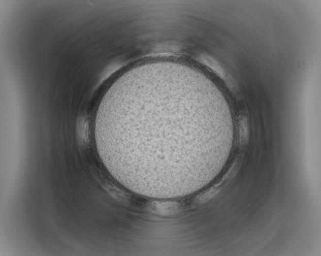 X0000113261258200910221032