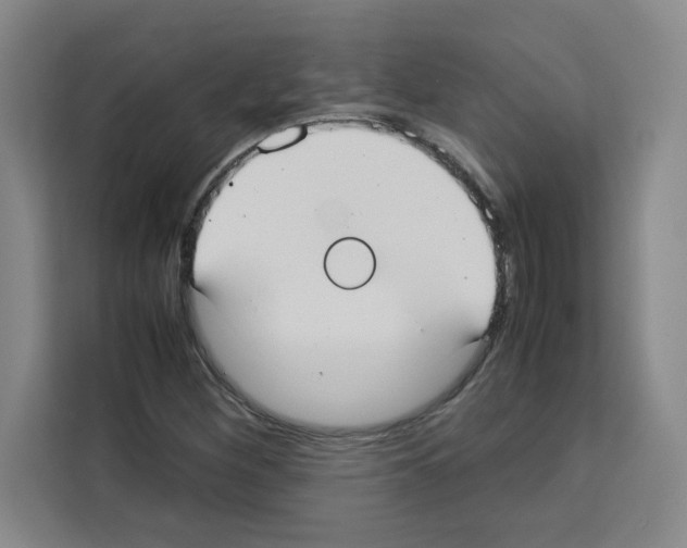 X0000113261260200910221032