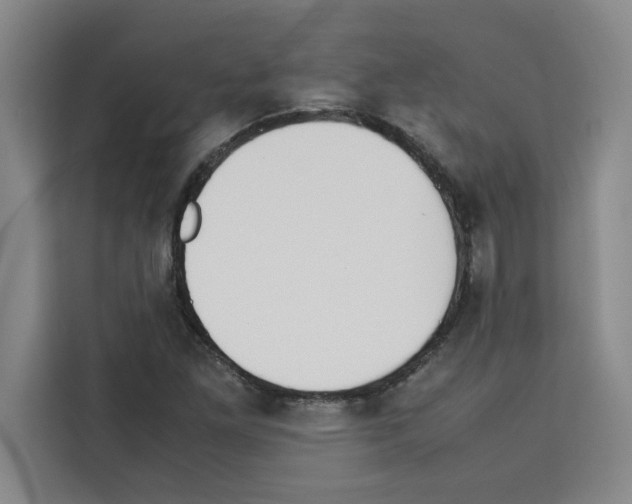 X0000113261261200910221032