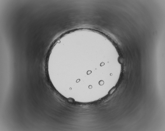 X0000113261264200910221032