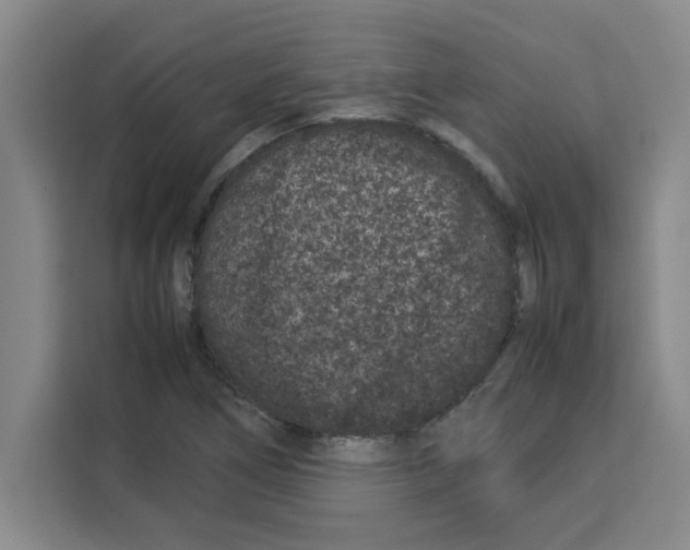 X0000113261266200910221032