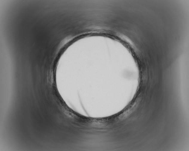 X0000113261267200910221032