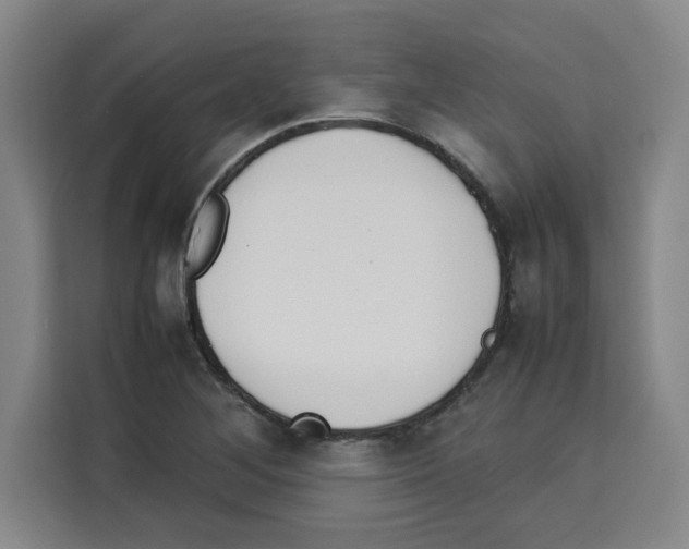 X0000113261268200910221032