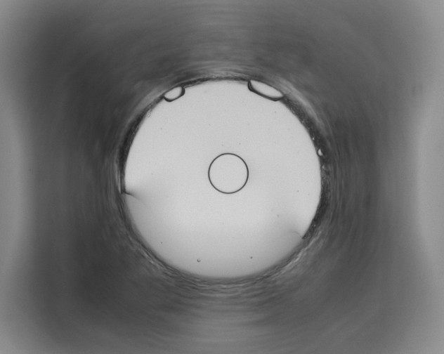 X0000113261269200910221032