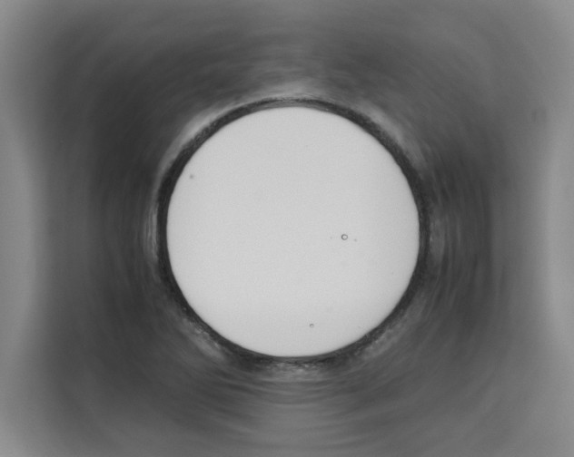 X0000113261270200910221032