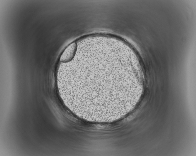 X0000113261271200910221032