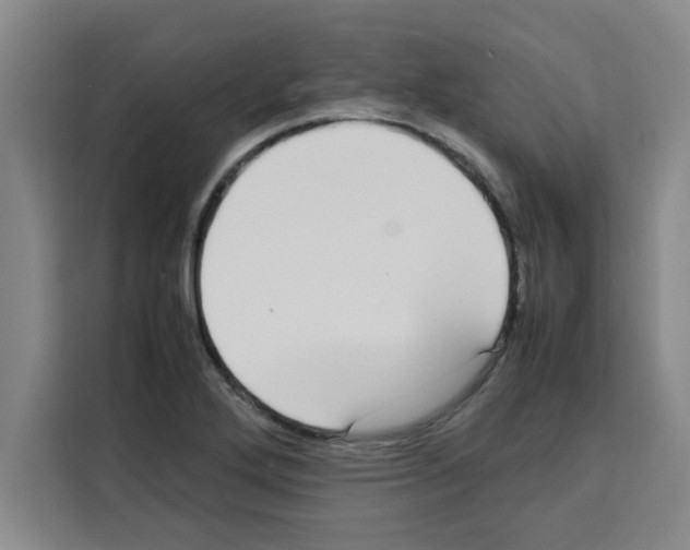 X0000113261272200910221032