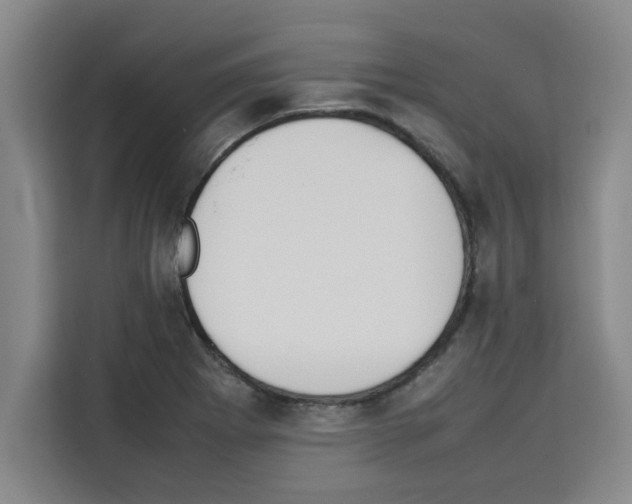 X0000113261273200910221032