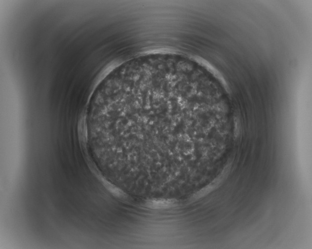 X0000113261274200910221032