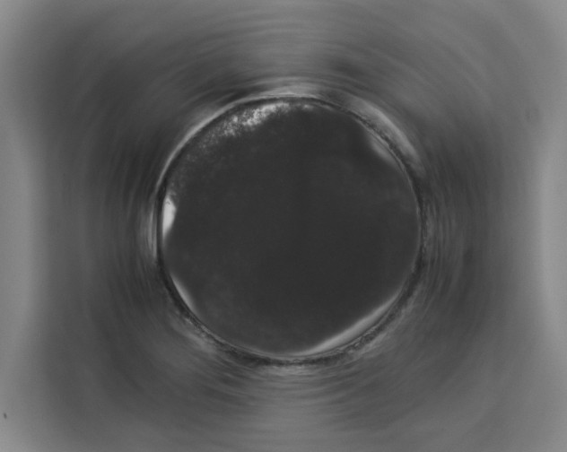 X0000113261276200910221032