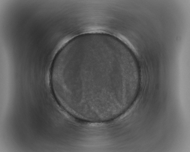 X0000113261277200910221032