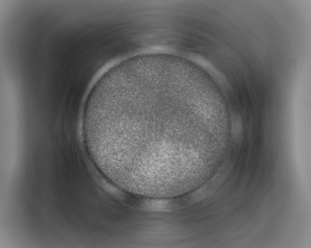 X0000113261278200910221032