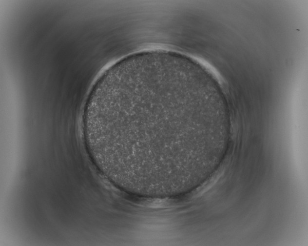 X0000113261279200910221032