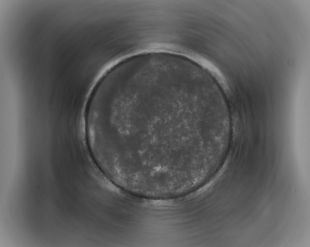 X0000113261280200910221032