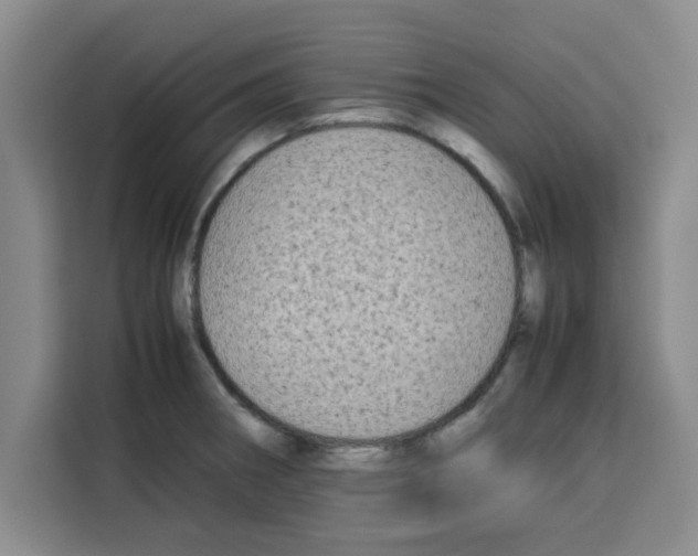 X0000113261282200910221032
