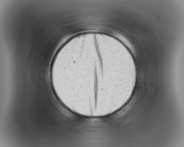 X0000113261283200910221032