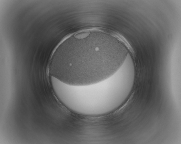 X0000113261284200910221032