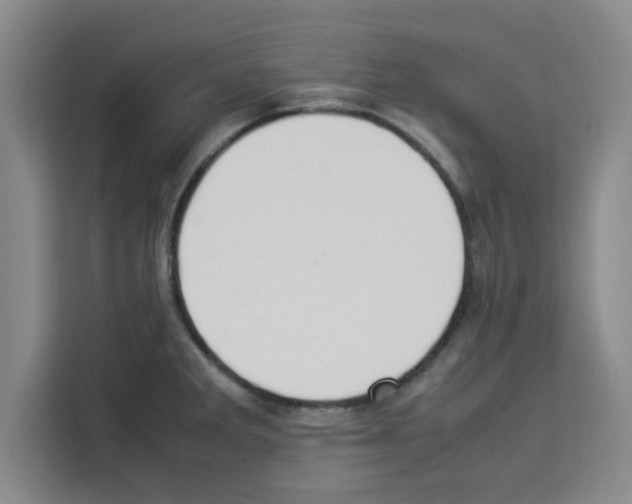 X0000113261285200910221032