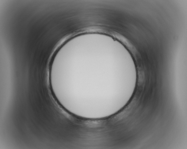 X0000113261286200910221032